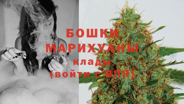 гидропоника Алзамай