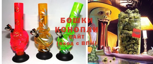 гидропоника Алзамай