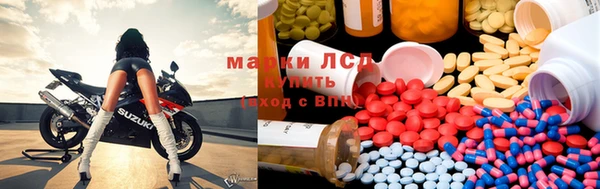 гидропоника Алзамай